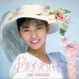 南野陽子～Bloom